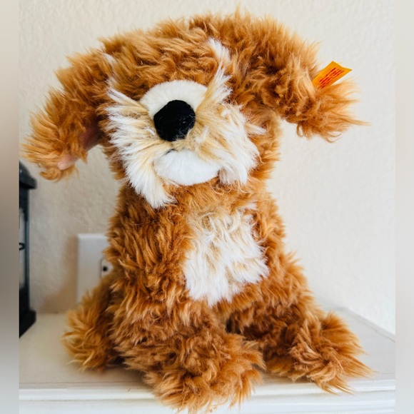 Curlie Cockapoo Puppy - Picture 5 of 7